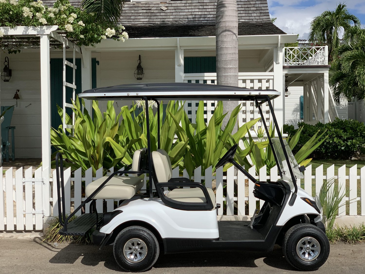 dunmore golf cart rental