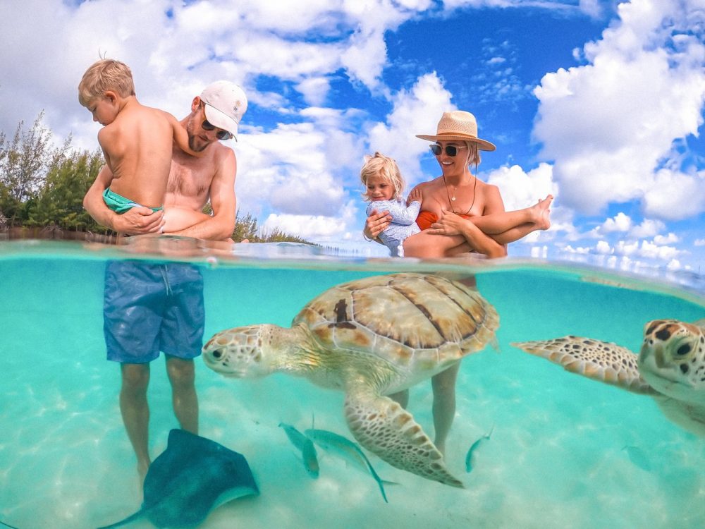 Turtles Excursion Harbour Island