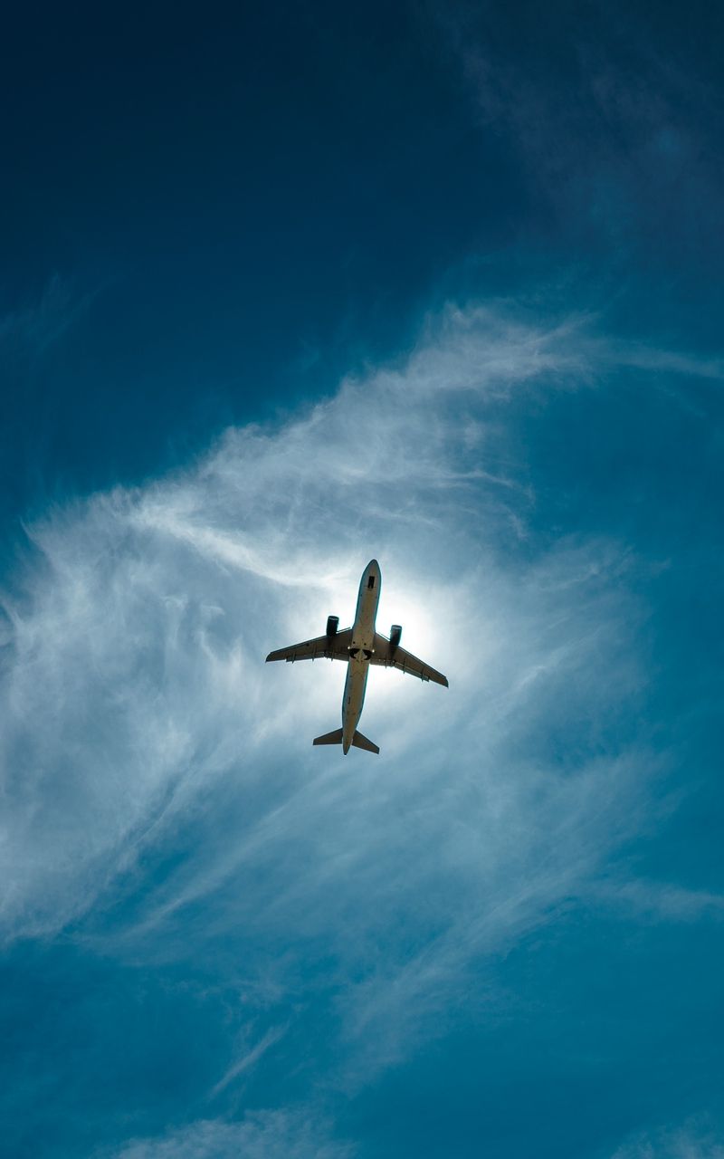 Plane Customs Harbour Island
