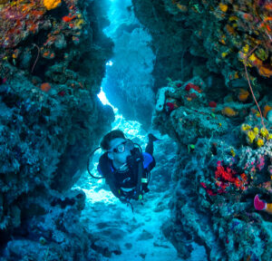 scuba diving harbour island