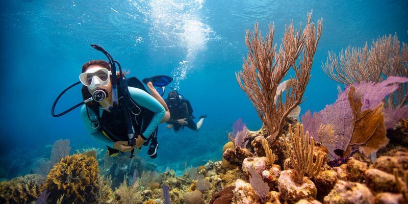 snorkeling harbour island