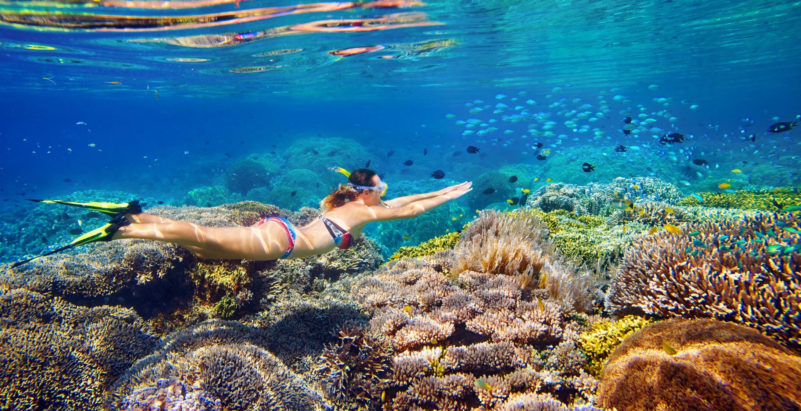 snorkeling harbour island