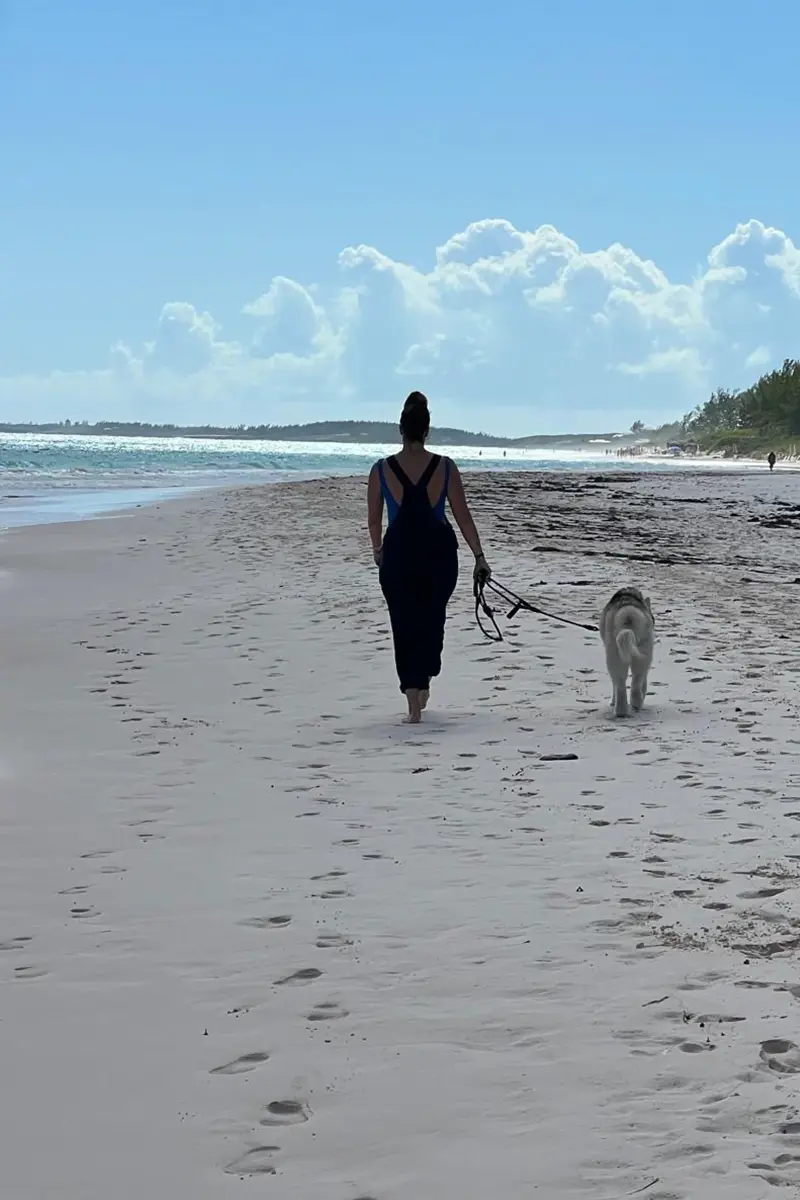 Pet Friendly Rentals Harbour Island