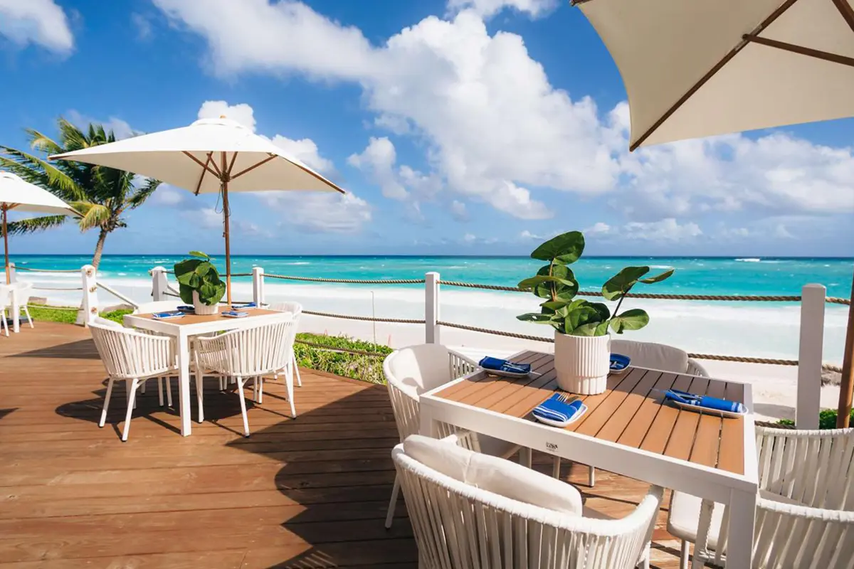 Trip Advisor Restaurants Harbour Island