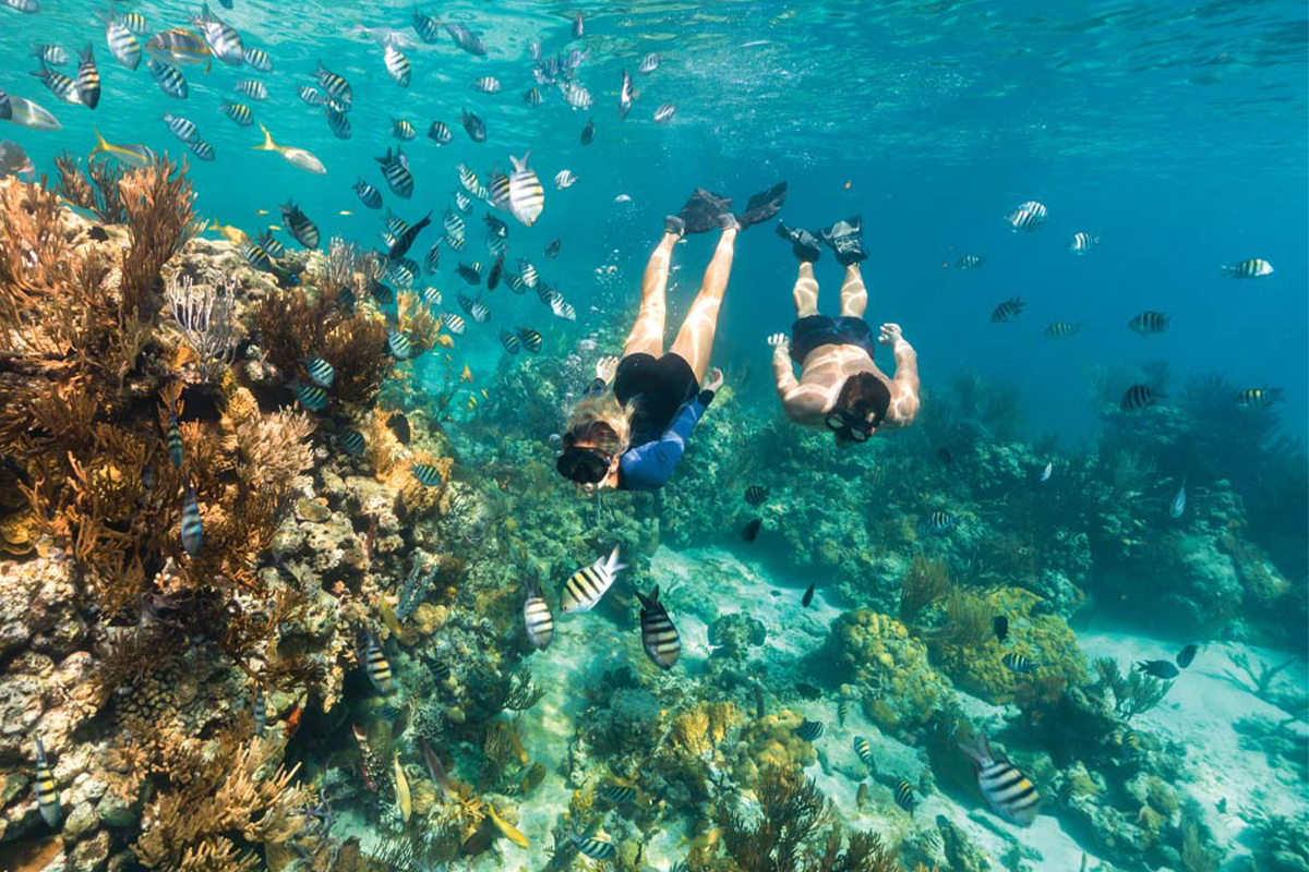 Excursions Harbour Island
