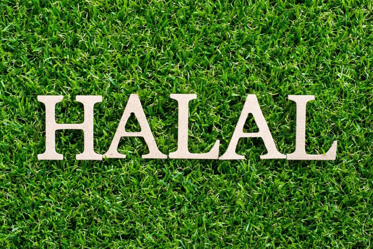 Halal Restaurants Harbour Island