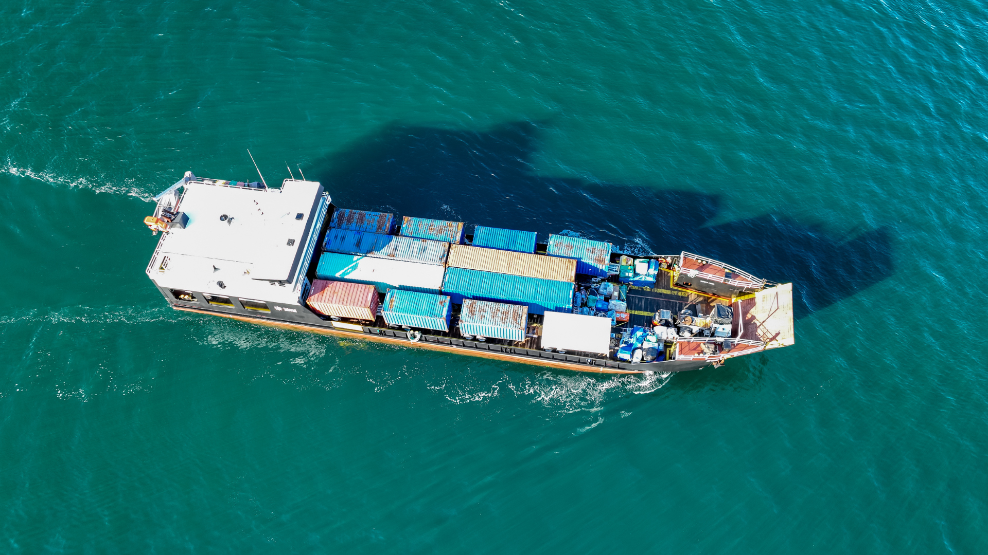 Amazon Delivery Harbour Island