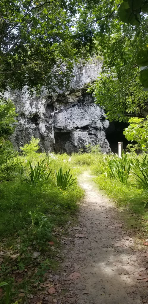 Preachers Cave entrance Harbour Island Bahamas