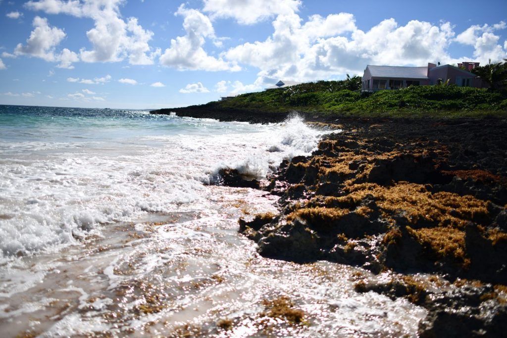 Oceanfront homes of Harbour Island Bahamas