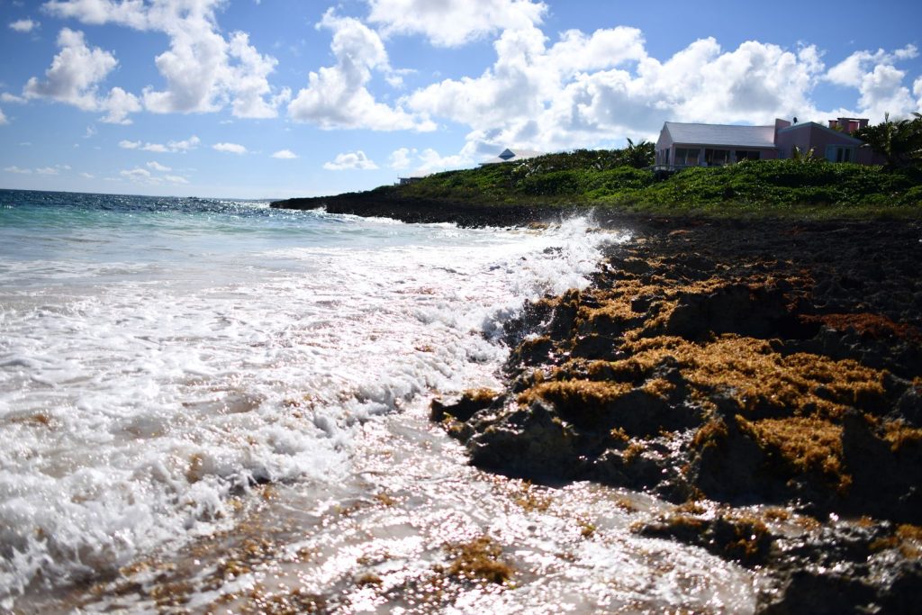 Oceanfront homes of Harbour Island Bahamas