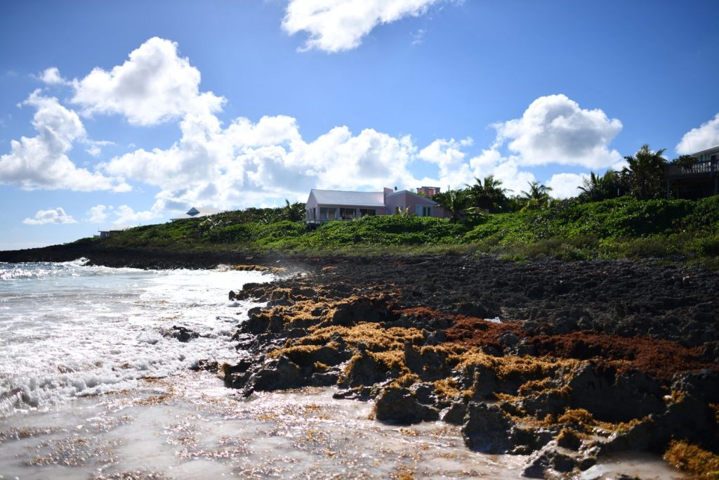 Bahamas oceanfront homes