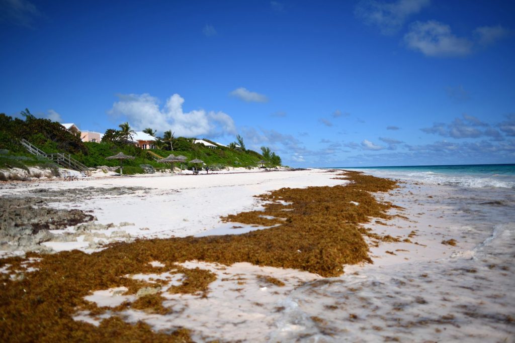Oceanfront homes of Harbour Island Bahamas
