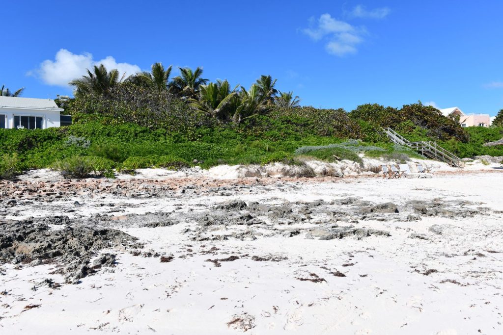 Bahamas oceanfront homes