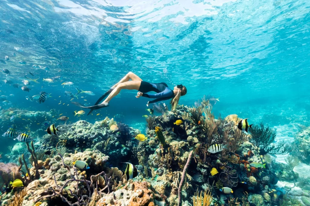 Snorkeling in North Eleuthera Bahamas