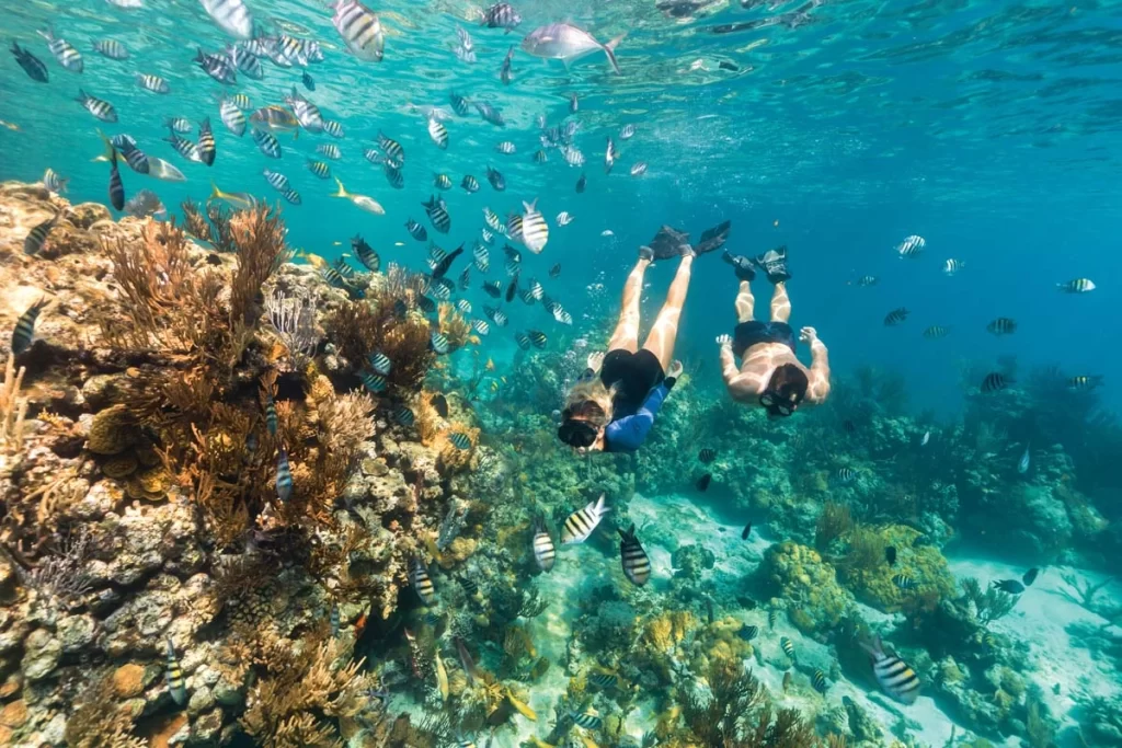 Snorkeling in North Eleuthera Bahamas